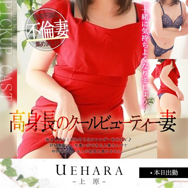NEWS画像3391
